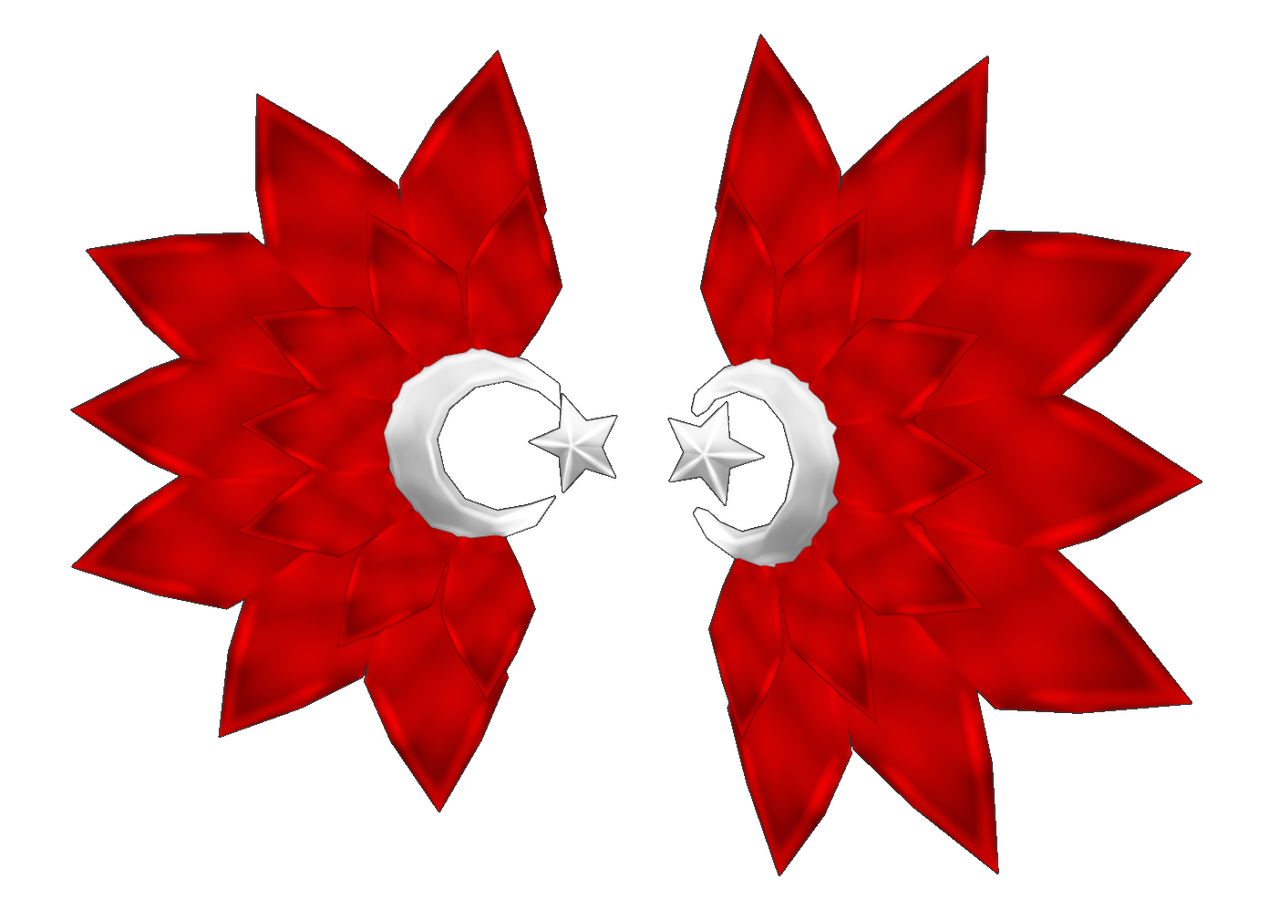 Turkiye Wings